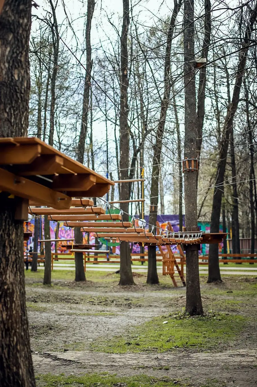 г. Ярославль парк на деревьях 72 этапа — фото 11