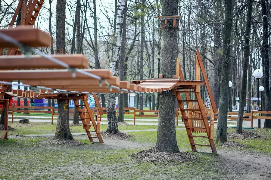 г. Ярославль парк на деревьях 72 этапа — фото 14