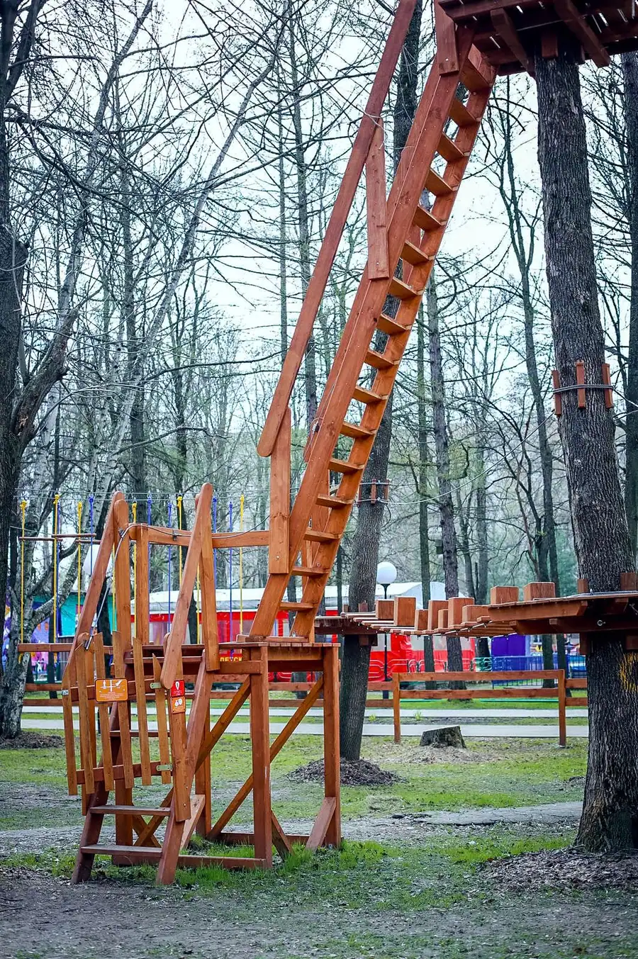 г. Ярославль парк на деревьях 72 этапа — фото 16
