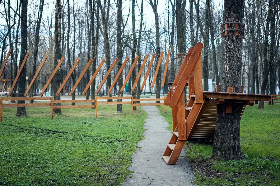 г. Ярославль парк на деревьях 72 этапа — фото 6