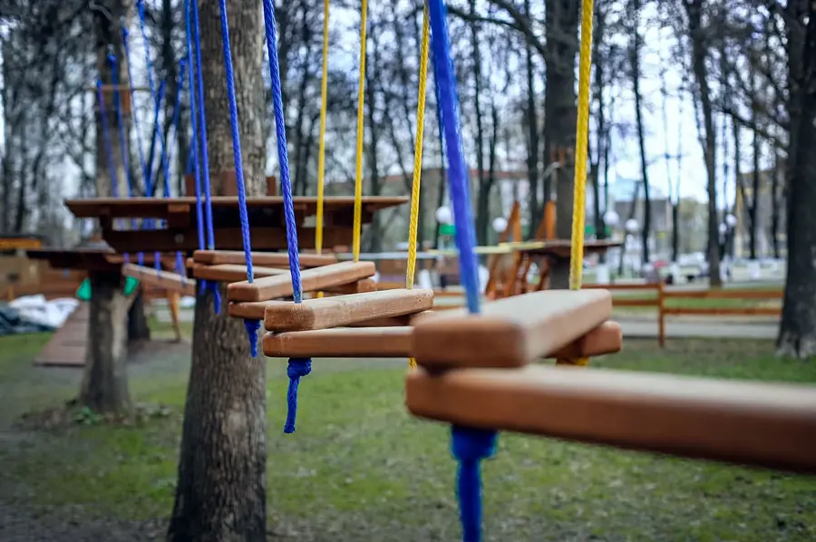 г. Ярославль парк на деревьях 72 этапа — фото 9