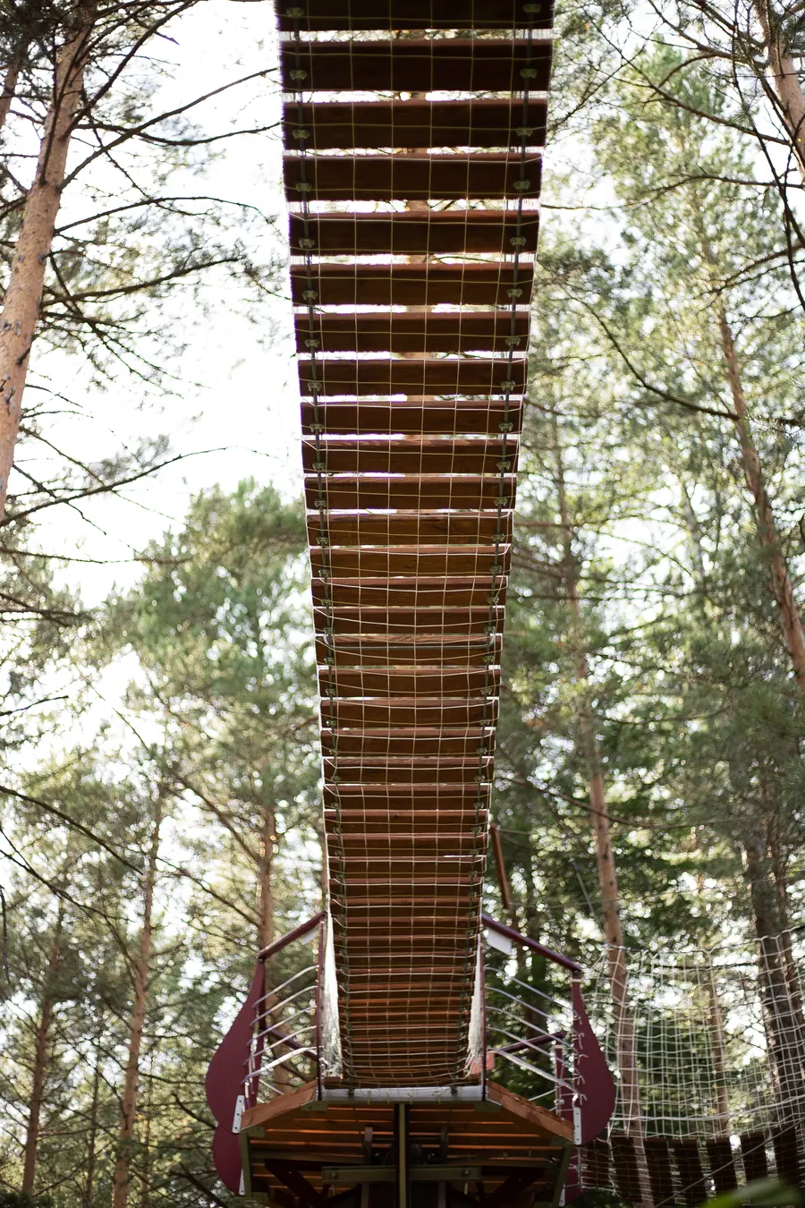 Эко Тропа Красноярск — фото 6