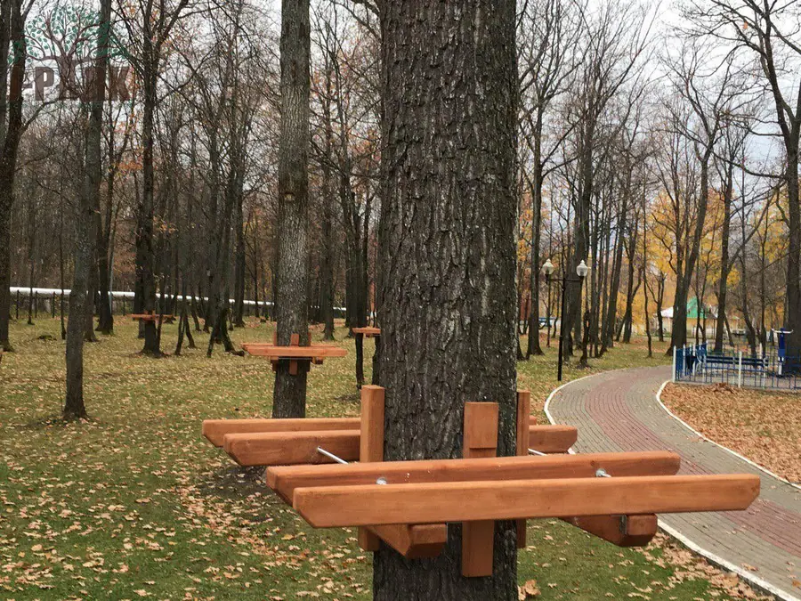 Верёвочный парк на деревьях в Саранске